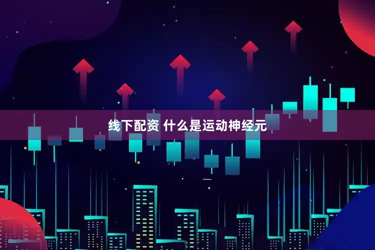 线下配资 什么是运动神经元